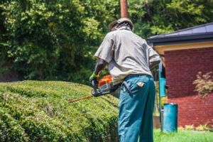 landscaper